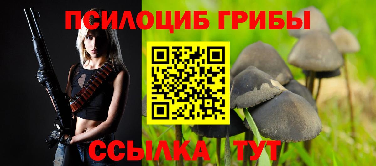 Псилоцибиновые грибы Psilocybine cubensis  Вход с VPN  Ангарск 